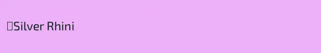 ☆Silver Rhini